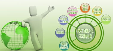 产品成长期 企业营销型网站与产品共同成长的战略融合