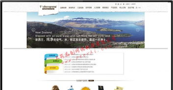 闵行企业网站建设 选择专业设计，赋能上海企业发展